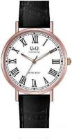 Наручные часы Q&Q Q979J815