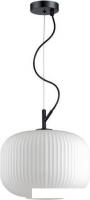 Подвесная люстра Odeon Light Roofi 4754/1