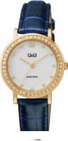 Наручные часы Q&Q QB45J101