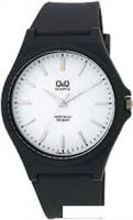 Наручные часы Q&Q VQ66J001