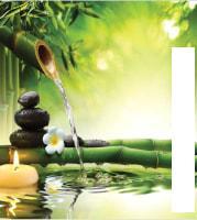 Шторка-занавеска для ванны JoyArty Бамбуковый кран sc_7709