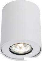 Точечный светильник Arte Lamp A5633PL-1WH