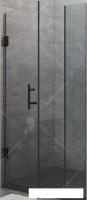 Душевая дверь RGW HO-012B 110 (черный/прозрачное стекло)