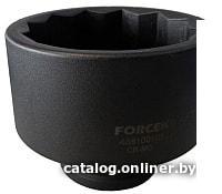 Головка слесарная FORSAGE F-48810090