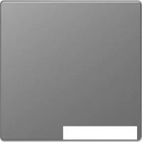 Клавиша для выключателя Schneider Electric Merten D-Life MTN3300-6050 (никель)