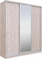 Шкаф-купе Рэйгрупп 203 SSX Elgon РГ-02.02 (сосна натуральная/хром)