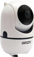 IP-камера Ginzzu HWD-2302A