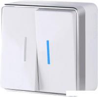 Выключатель Werkel W5020101