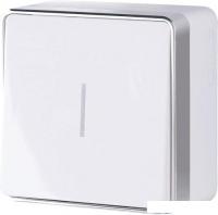 Выключатель Werkel W5010101