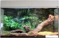 Террариум Lucky Reptile Стартовый комплект для пауков и скорпионов SK50TS-W (белый)