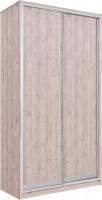 Шкаф-купе Рэйгрупп 120 SSX Elgon РГ-06.03 (сосна натуральная/хром)