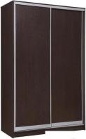 Шкаф-купе Рэйгрупп 158450 VVX Elgon РГ-10.03 (венге/хром)