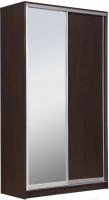 Шкаф-купе Рэйгрупп 158450 VVX Elgon РГ-10.02 (венге/хром)