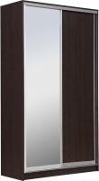 Шкаф-купе Рэйгрупп 138 VVX Elgon РГ-05.02 (венге/хром)
