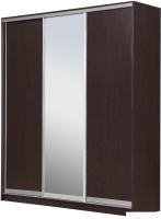 Шкаф-купе Рэйгрупп 203450 VVX Elgon РГ-02.02 (венге/хром)