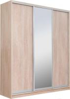 Шкаф распашной Рэйгрупп 233 TTX Elgon РГ-01.02 (дуб торонто/ хром)