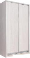 Шкаф-купе Рэйгрупп 158450 YYX Elgon РГ-04.03 (ясень снежный/хром)
