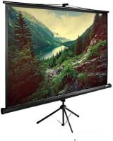 Проекционный экран CACTUS TriExpert 220x220 CS-PSTE-220X220-BK
