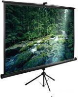 Проекционный экран CACTUS TriExpert 165x220 CS-PSTE-220X165-BK