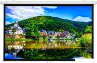 Проекционный экран Lumien Master Picture 172х176 LMP-100110CSR