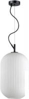 Подвесная люстра Odeon Light Roofi 4752/1