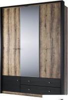 Шкаф распашной Anrex Jagger 3DG2S Z (дуб монастырский/черный)