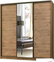 Шкаф-купе Рэйгрупп Bromo VVH3 02 РГ-08.02 B 207 VVH 207.5 (дуб велингтон/черный)