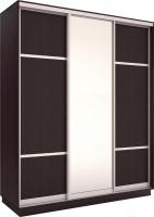 Шкаф-купе Евва 176 VS.02 АЭП ШК.3 03 (венге/серебристый)