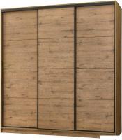 Шкаф-купе Рэйгрупп Bromo VVH3 03 РГ-09.03 B 177 VVH 177.5 (дуб велингтон/черный)