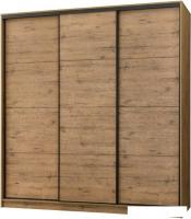 Шкаф-купе Рэйгрупп Bromo VVH3 03 РГ-07.03 B 237 VVH 237.5 (дуб велингтон/черный)