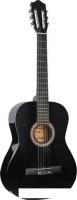 Акустическая гитара Fante FT-C-B39-BK