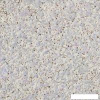 Жидкие обои Silk Plaster Prestige 406