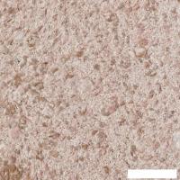 Жидкие обои Silk Plaster Victoria 708