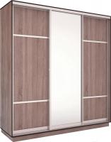 Шкаф-купе Евва 203 TS.02 (трюфель/серебро)