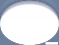 Припотолочная люстра Elektrostandard DLR043