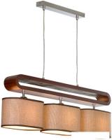 Подвесная люстра Lussole Loft Nulvi LSF-2103-03