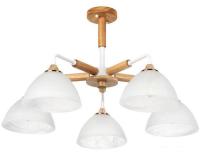 Люстра средней высоты Arte Lamp Matthew A5032PL-5BR