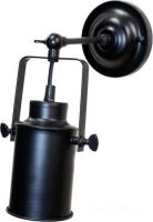 Точечный светильник LOFT IT Spotlight LOFT2092/1W