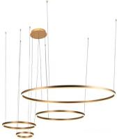Подвесная люстра LOFT IT Ring 10017/4L