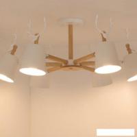 Люстра средней высоты Home Light Астерия A077-3