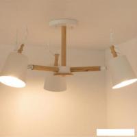 Люстра средней высоты Home Light Астерия A077-1