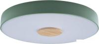 Люстра-тарелка LOFT IT Axel 10003/24 Green