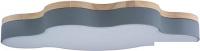 Люстра-тарелка LOFT IT Axel 10005/36 Grey