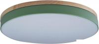 Люстра-тарелка LOFT IT Axel 10001/36 Green