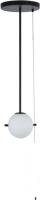 Подвесная люстра LOFT IT Signal 10029PS Black