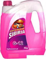 Sibiria G-12 -40 красный 5л