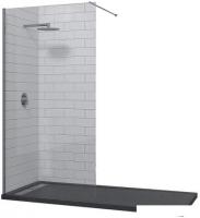 Душевая стенка RGW WA-010 120 (хром/матовое стекло)