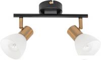 Спот Arte Lamp Falena A3117PL-2BK