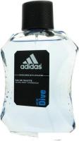 Adidas Ice Dive EdT (100 мл)