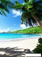 Фотообои Arthata листовые Fotooboi-19 (400x270)